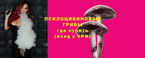 тгк Кущёвская